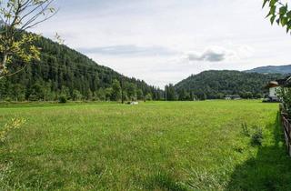 Grundstück zu kaufen in 6384 Waidring, BAULAND - Eben gelegenes Grundstück in sonniger, ebener Lage