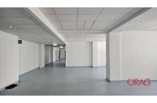 Büro zu mieten in Schwarzenbergplatz, 1030 Wien, Modernes Büro im 5. Stock in der nähe vom Belvedere-Garten- 1030 Wien- zu mieten