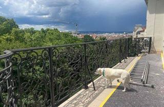 Gewerbeimmobilie mieten in Johann-Strauß-Gasse, 1040 Wien, Soweit das Auge reicht GRÜN - Draschepark, Johann Straussgasse, Bahnhof - Wien, Wien