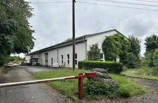 Gewerbeimmobilie kaufen in 4522 Sierning, Halle mit großem Grundstück in Sierning – vielseitig nutzbar