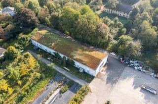 Gewerbeimmobilie kaufen in 4522 Sierning, Halle mit großem Grundstück in Sierning – vielseitig nutzbar