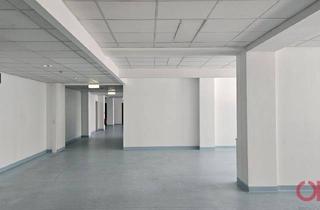 Büro zu mieten in Schwarzenbergplatz, 1030 Wien, Modernes Büro im 5. Stock in der nähe vom Belvedere-Garten- 1030 Wien- zu mieten