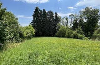 Grundstück zu kaufen in 8045 Weinitzen, Sonniges Baugrundstück in Graz-Umgebung