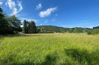 Grundstück zu kaufen in Hafnersee, 9535 Schiefling, Schöne landwirtschaftliche Flächen mit 3.208m² - Nähe Hafnersee - Kein Baugrund!