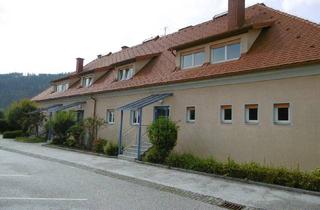 Wohnung mieten in Pöckstein 13, 9341 Straßburg-Stadt, 3-Zimmer Wohnung in Pöckstein in Kärnten!