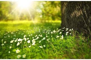 Haus kaufen in 2272 Niederabsdorf, Kleines sanierungsbedürftiges Haus mit viel Potential zu verkaufen