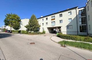 Wohnung kaufen in 3400 Klosterneuburg, Zentrale Erdgeschosswohnung in ruhiger Lage am Fuße des Ölbergs