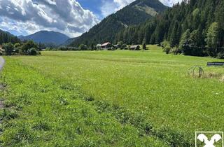 Grundstück zu kaufen in 9714 Stockenboi, Baugrundstück in Stockenboi