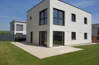 Haus mieten in 2284 Untersiebenbrunn, Topmodernes ZWEITBEZUGHAUS, 5 Zimmer, Garten, Stellplatz !!