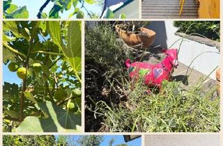 Doppelhaushälfte kaufen in Hofer Brunnergasse, 2380 Perchtoldsdorf, Sonnige großzügige Doppelhaushälfte - 5 Zimmer - toller Garten