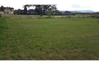 Grundstück zu kaufen in Heidemühlweg 3, 2751 Steinabrückl, RESERVIERT - PROVISIONSFREI: Baugrundstück in ruhiger Lage - Steinabrückl bei Wr. Neustadt (VB)