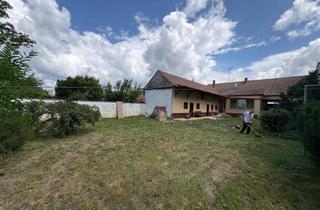 Haus kaufen in Arthur-Weilinger-Straße 440, 2275 Bernhardsthal, Renovierungsbedürftiges Haus zu verkaufen – Ideal für Heimwerker und Investoren!