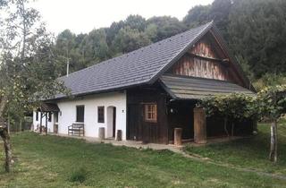 Bauernhäuser zu kaufen in 7522 Heiligenbrunn, Altes Bauernhaus (Lehmbau) im Südburgenland