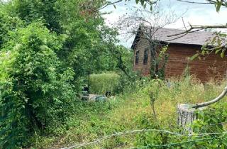 Grundstück zu kaufen in 2352 Gumpoldskirchen, Naturidylle am Anninger - Grundstück mit Kleingartenhaus im Grünland & Naturschutzgebiet !
