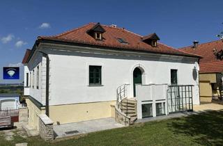 Einfamilienhaus kaufen in 2462 Wilfleinsdorf, Sehr spezielles tolles einmaliges Einfamilienhaus-1257