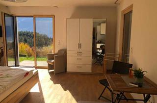 Wohnung mieten in 9800 Spittal an der Drau, Traumhafte Garconniere 1-Zimmer Wohnung mit tollem Bergblick