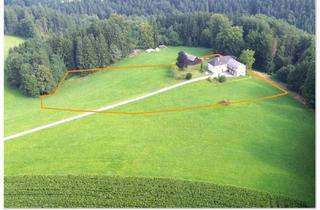Haus kaufen in 3321 Stephanshart, Gepflegtes, idyllisches Landhaus in herrlicher Alleinlage mit 1,4 ha Grund, auch für Selbstversorger!