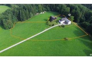 Haus kaufen in 3321 Stephanshart, Gepflegtes, idyllisches Landhaus in herrlicher Alleinlage mit 1,4 ha Grund, auch für Selbstversorger!