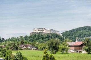 Penthouse kaufen in Gaisberg, 5020 Salzburg, 5 Zimmer Penthouse mit Terrassen, Pool und freiem Festungsblick!