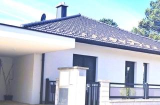Einfamilienhaus kaufen in Wien, Schwechat, Wr. Neustadt, Eisenstadt, 2353 Guntramsdorf, Neuwertiger Massivbungalow mit Pool, Gästehaus, Keller, Wintergarten in Guntramsdorf - Preis auf Anfrage