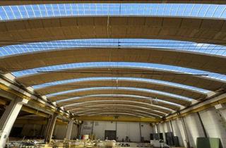 Gewerbeimmobilie mieten in 9125 Mittlern, Bis zu 2760m2 Lagerhalle mit LKW-Zufahrt und Krananlage in 9125 Mittlern