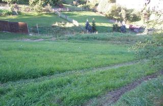  in Promenade, 4120 Neufelden, Freizeitgrundstücke zur PACHT in 4120 Neufelden OÖ