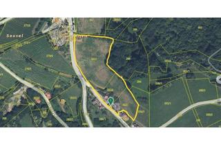 Gewerbeimmobilie kaufen in Steinriegel 83, 8442 Steinriegel, Beste Lage in Kitzeck: ehemalige Weinstube (Provisionsfrei)