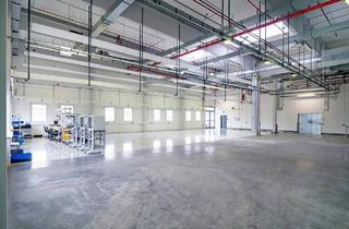 Gewerbeimmobilie mieten in Industriestraße, 9241 Wernberg, Produktions- und Lagerhalle ab Februar 2026 zu vermieten