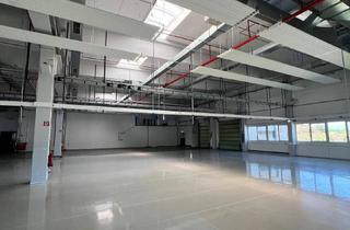 Gewerbeimmobilie mieten in Industriestraße, 9241 Wernberg, Produktions- und Lagerhalle ab sofort zu vermieten
