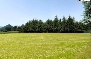 Grundstück zu kaufen in 9535 Schiefling, Sonnig, eben & zentral gelegenes Baugrundstück in Schiefling | ohne Bebauungspflicht