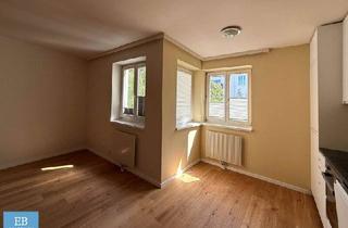 Wohnung mieten in Rodlergasse, 1190 Wien, Klein, fein und ganz mein - die perfekte Garconniere in Döbling!