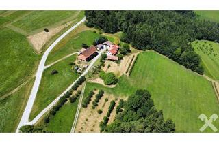 Haus kaufen in 8062 Kumberg, Idyllische alte Apfelplantage mit Wald, Wohnhaus, Kellerstöckl und Stallungen in Kumberg b. Graz