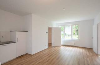 Büro zu mieten in 2380 Perchtoldsdorf, frisch saniertes 2-Zimmer-Büro / hofseitig & barrierefrei