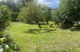 Grundstück zu kaufen in 9300 Hörzendorf, großes Grundstück in Hörzendorf