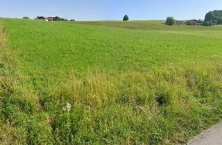 Grundstück zu kaufen in 5204 Straßwalchen, Attraktives Grundstück in sonniger Lage