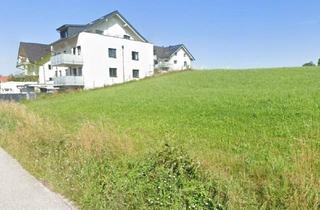 Grundstück zu kaufen in 5204 Straßwalchen, Attraktives Grundstück in sonniger Lage