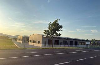 Gewerbeimmobilie mieten in Gewerbepark B17 / Ii / Straße 3 / Objekt 11, 2524 Teesdorf, Neue Gewerbehalle, Lager, Werkstatt, Büro - 154-245 m² - Erstbezug - B17/A2 - Teesdorf, NÖ nahe Wien