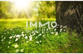 Grundstück zu kaufen in 7464 Markt Neuhodis, Traumhaftes Baugrundstück in sonniger Lage am Fuße