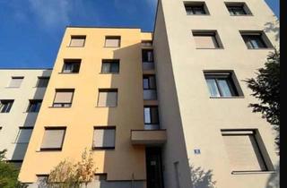 Wohnung mieten in Grillparzerstraße, 4910 Ried im Innkreis, Schöne 2 Zimmer Wohnung sucht neuen Mieter