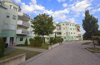 Wohnung kaufen in 2435 Ebergassing, + Traumhafte Fernblickdachterrassenwohnung 80m² + Dachterrasse 5,62 m² + Klimaanlage, moderne Dan-Küche + 4 lichtdurchflutete Zimmer + €199.000,- + Tiefgaragenplatz +