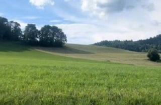 Grundstück zu kaufen in 9064 Magdalensberg, Fünf traumhafte, vollaufgeschlossene Grundstücke mit einem umwerfenden Panoramablick in Latschach am Magdalensberg