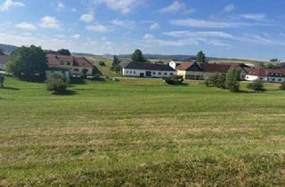 Grundstück zu kaufen in 3961 Groß-Neusiedl, Großzügiges Baugrundstück in Ortsrandlage Nähe Gmünd