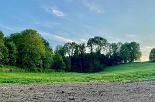 Grundstück zu kaufen in 4631 Krenglbach, TRAUMHAFTE RUHELAGE FÜR IHREN WOHNTRAUM!