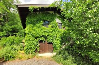 Lager kaufen in 7311 Neckenmarkt, Im Herzen des Mittelburgenlandes: Idyllische Weingartenhütte + Weingarten + Seltene Gelegenheit