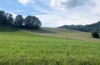 Grundstück zu kaufen in 9064 Magdalensberg, Fünf traumhafte, vollaufgeschlossene Grundstücke mit einem umwerfenden Panoramablick in Latschach am Magdalensberg