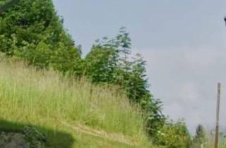 Grundstück zu kaufen in Oberhüttendorfer Weg 14, 9530 Bad Bleiberg, Wohnen am Waldrand
