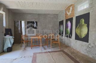 Bauernhäuser zu kaufen in 2061 Hadres, Zwei Wege, ein Zuhause -sanierungsbedürftiges Haus mit großem Garten