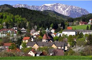 Einfamilienhaus kaufen in 2733 Grünbach am Schneeberg, KLEINES HAUS BEIM SCHNEEBERG