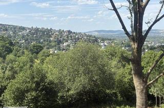 Gewerbeimmobilie kaufen in 3400 Klosterneuburg, Grünland mit Zufahrt und Aussicht