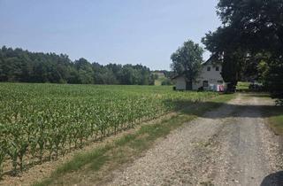 Gewerbeimmobilie kaufen in Landorf 11, 8092 Mettersdorf am Saßbach, Bauernhaus (stark sanierungsbedürftig) mit Grund und kleinem Teich